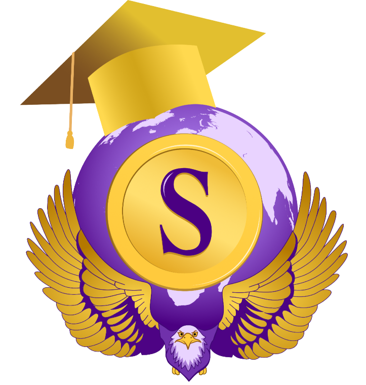 Scholarvisionnetwork